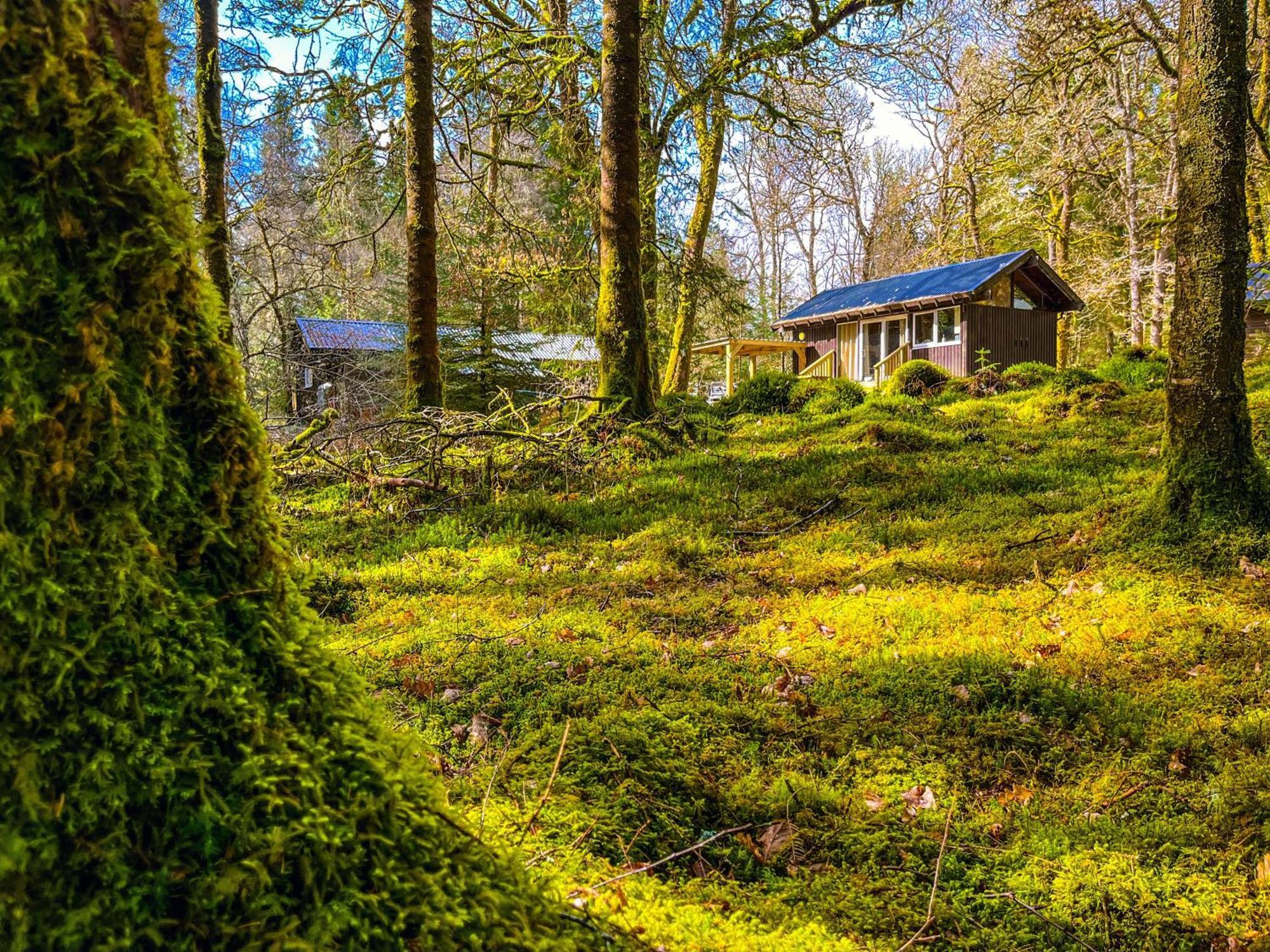 Loch Aweside Forest Cabins Dalavich Oda fotoğraf
